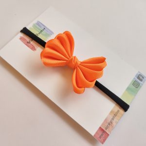 Orange petals rs. 300 (1)